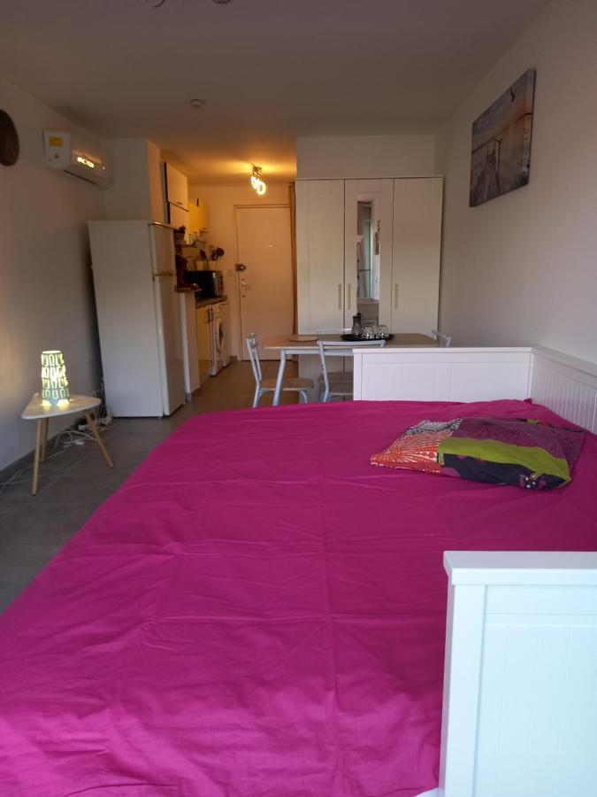 Les Appartements De Lina - Studio West City - Self Check-In 拉格朗德默特 外观 照片